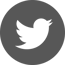 iconmonstr-twitter-4-240